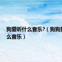 狗爱听什么音乐?(狗狗爱听什么音乐)