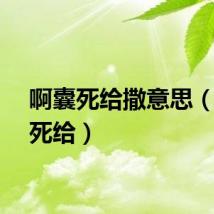啊囊死给撒意思（啊囊死给）
