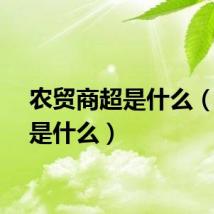 农贸商超是什么（商超是什么）