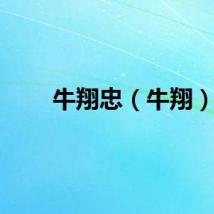 牛翔忠（牛翔）