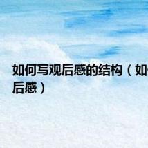 如何写观后感的结构（如何写观后感）