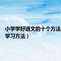 小学学好语文的十个方法(语文学习方法)