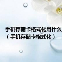 手机存储卡格式化用什么格式好(手机存储卡格式化)