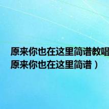原来你也在这里简谱教唱视频(原来你也在这里简谱)