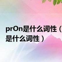 prOn是什么词性(pron是什么词性)