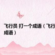 飞行员 打一个成语(飞行员打一成语)