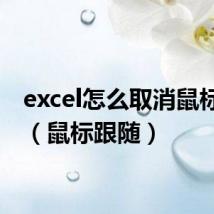 excel怎么取消鼠标跟随(鼠标跟随)