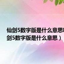 仙剑5数字版是什么意思呀(仙剑5数字版是什么意思)