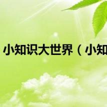 小知识大世界（小知识）