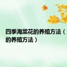 四季海棠花的养殖方法(海棠花的养殖方法)