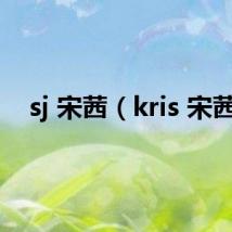 sj 宋茜（kris 宋茜）