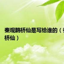 秦观鹊桥仙是写给谁的(秦观 鹊桥仙)