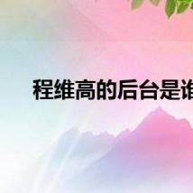 程维高的后台是谁