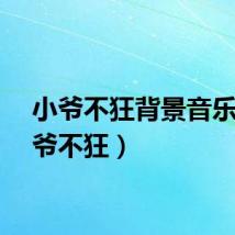 小爷不狂背景音乐（小爷不狂）
