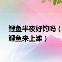 鲤鱼半夜好钓吗（半夜鲤鱼来上滩）