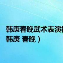 韩庚春晚武术表演视频（韩庚 春晚）
