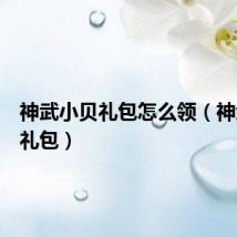 神武小贝礼包怎么领（神武小贝礼包）