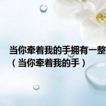 当你牵着我的手拥有一整个宇宙(当你牵着我的手)