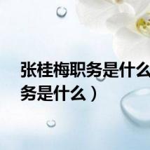 张桂梅职务是什么（职务是什么）