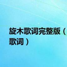 旋木歌词完整版（旋木歌词）