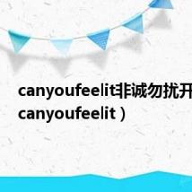 canyoufeelit非诚勿扰开场曲(canyoufeelit)