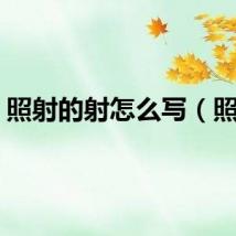 照射的射怎么写（照射）
