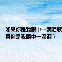 如果你是我眼中一滴泪歌词(如果你是我眼中一滴泪)