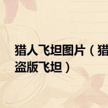 猎人飞坦图片（猎人之盗版飞坦）
