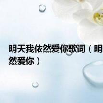 明天我依然爱你歌词(明天我依然爱你)
