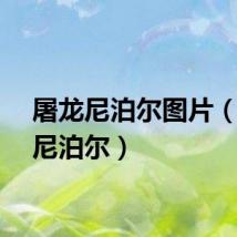 屠龙尼泊尔图片（屠龙尼泊尔）