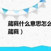 葳蕤什么意思怎么读（葳蕤）