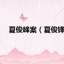 夏俊峰案（夏俊锋）