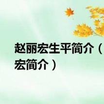赵丽宏生平简介（赵丽宏简介）