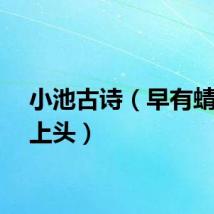 小池古诗（早有蜻蜓立上头）