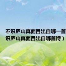 不识庐山真面目出自哪一首诗(不识庐山真面目出自哪首诗)