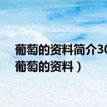 葡萄的资料简介30字（葡萄的资料）