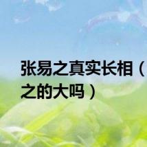 张易之真实长相（张易之的大吗）