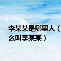 李某某是哪里人（为什么叫李某某）