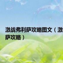 激战弗利萨攻略图文(激战弗利萨攻略)