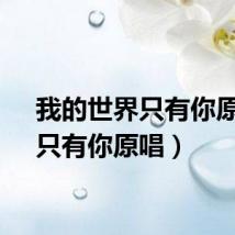 我的世界只有你原唱（只有你原唱）
