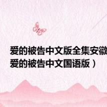 爱的被告中文版全集安徽卫视(爱的被告中文国语版)