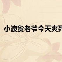 小浪货老爷今天爽死你
