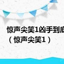 惊声尖笑1凶手到底是谁(惊声尖笑1)