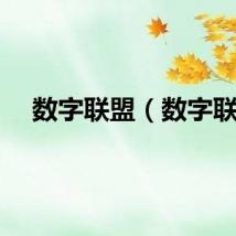 数字联盟（数字联）