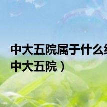 中大五院属于什么级别（中大五院）