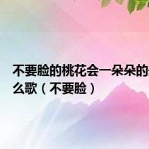 不要脸的桃花会一朵朵的开是什么歌(不要脸)