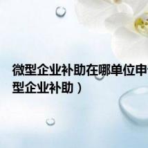 微型企业补助在哪单位申请(微型企业补助)