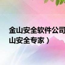 金山安全软件公司（金山安全专家）