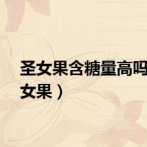 圣女果含糖量高吗（圣女果）