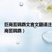 巨商蓄鹦鹉文言文翻译注释(巨商蓄鹦鹉)